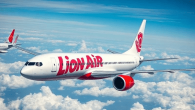 Катастрофа Boeing 737 MAX Lion Air 2018 — вызовы современности
