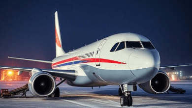 Катастрофа Ан-148 в Подмосковье 2018 — причины и последствия