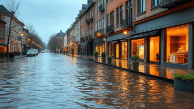 Наводнения в Германии 2021 — социальное значение