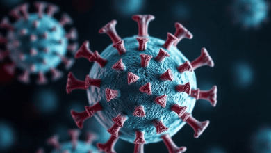 MERS вирус — история и последствия