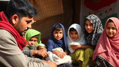 Беженцы из Сирии — ключевые моменты