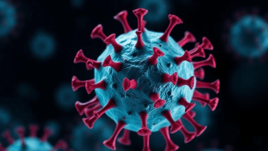 Вирус Нипах — вспышки в Азии