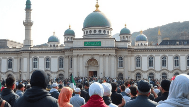 Исламизация в Ирландии — новый виток — картина без лозунгов