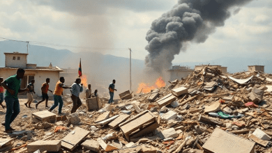 Последствия землетрясение в гаити для мировой политики