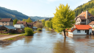 Наводнения в долине Ахр в Германии — долгосрочные последствия для региона