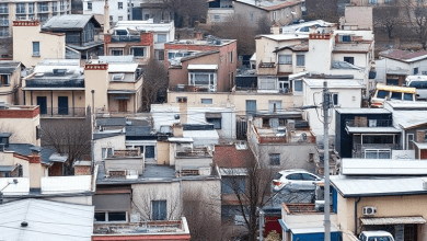 Исламизация пригородов Парижа — причины и последствия для мира