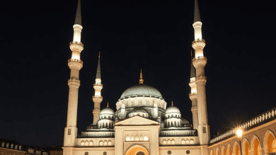 Европейские города и новые мечети — вызовы современности