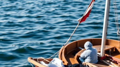 Политика квот в Латвии 2020 — точка перелома