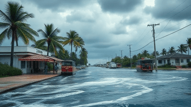 Ураган Эндрю 1992 — влияние на глобальное сообщество