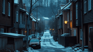 Пригородные гетто в Северной Европе — кто в ответе