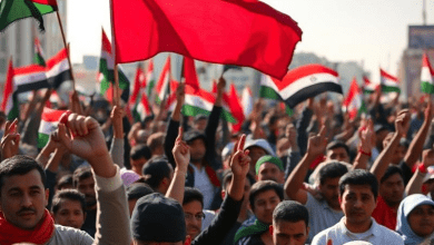 Арабская весна 2011 года — социальное значение