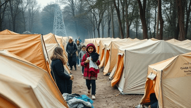 Лагеря беженцев в Германии — реакция городов