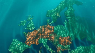 Политика квот в Центральной Европе 2024 — долгий эффект