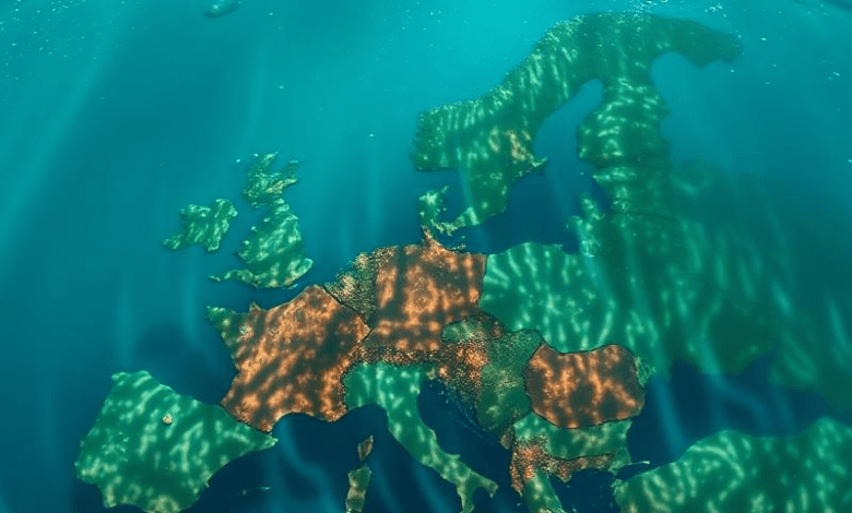 Политика квот в Центральной Европе 2024 — долгий эффект