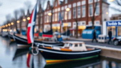 Упрощённые визы в Нидерландах 2024 — в центре внимания