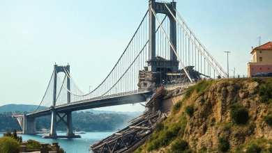 Обрушение моста в Генуе 2018 — роль в мировой истории