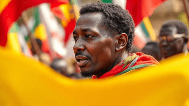 Протесты в Эфиопии из-за войны — причины и последствия для мира