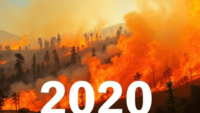 Лесные пожары в Калифорнии 2020 — перспективы и прогнозы