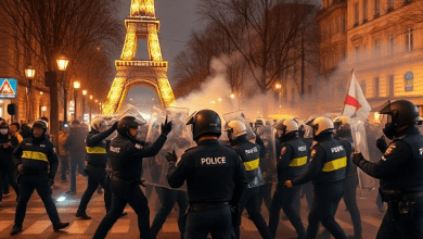 Столкновения с полицией в Париже — причины протестов